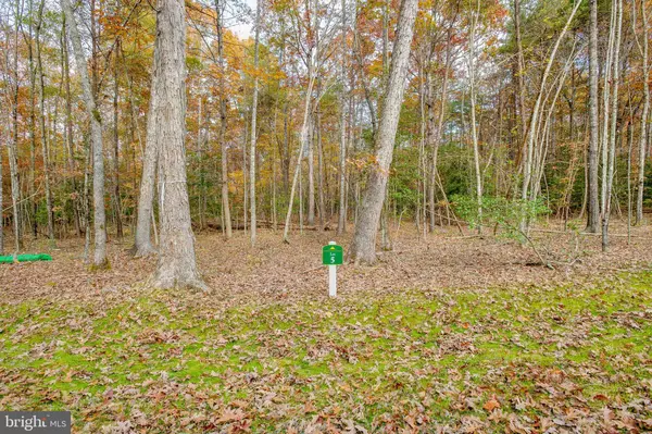 Locust Grove, VA 22508,LOT 5 DOROTHY WAY