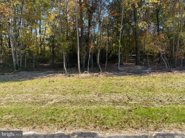 28156 BLUEBERRY AVE #LOT 4, Dagsboro, DE 19939