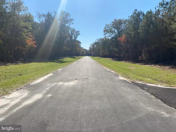 Dagsboro, DE 19939,28195 BLUEBERRY AVE #LOT 12