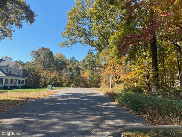 Dagsboro, DE 19939,28182 BLUEBERRY AVE #LOT 5