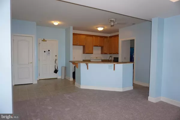 Newark, DE 19713,1000-UNIT FOUNTAINVIEW CIR #207