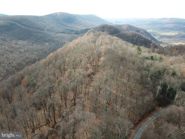 LOT 39 BEAR RIDGE RD, New Creek, WV 26743