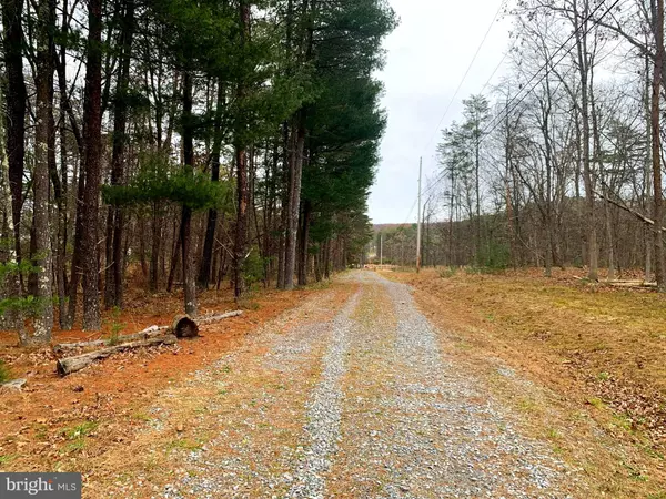 Capon Bridge, WV 26711,COOPERS RUN ROAD RD