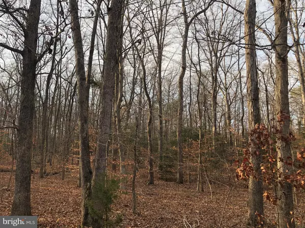 5631 SMITH STATION RD, Fredericksburg, VA 22407