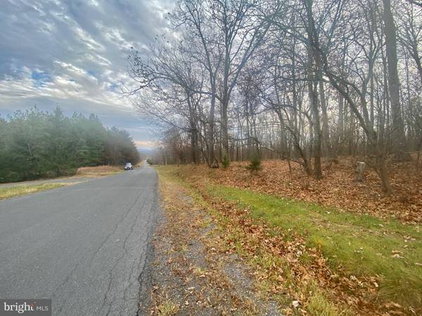 Gore, VA 22637,RIDGEVIEW LOT 3 RD