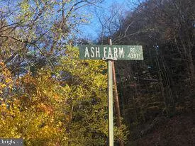 Ridgeley, WV 26753,90 ACRES ASH FARM RD