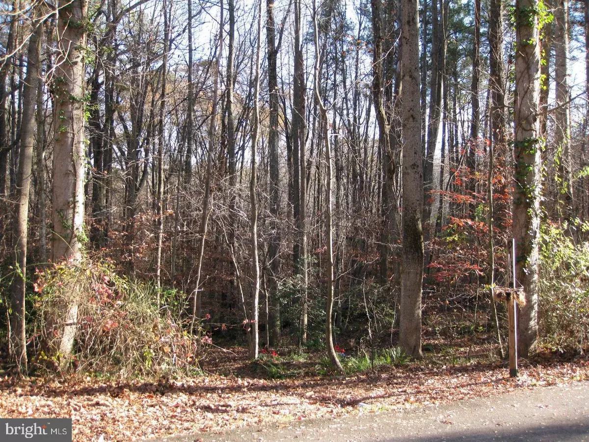 King George, VA 22485,LOT 8 MICHAEL DR