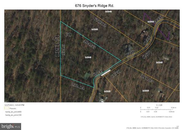 676 SNYDERS RIDGE RD, Mathias, WV 26812