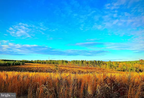 Lignum, VA 22726,JACOBS FORD