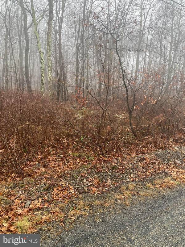 LOT#A259 WHITE OAK LN, Jim Thorpe, PA 18229