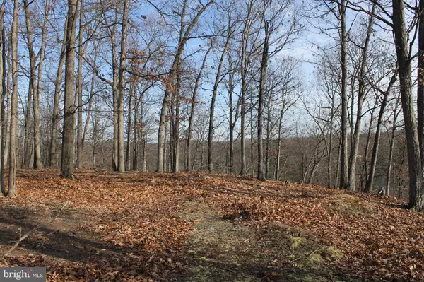 Fort Ashby, WV 26719,LOT 50 MILL RUN ROAD