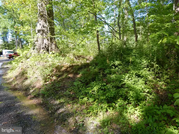 FOREST DR, Falling Waters, WV 25419