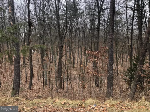 Augusta, WV 26704,LOT 51 EMILY CT