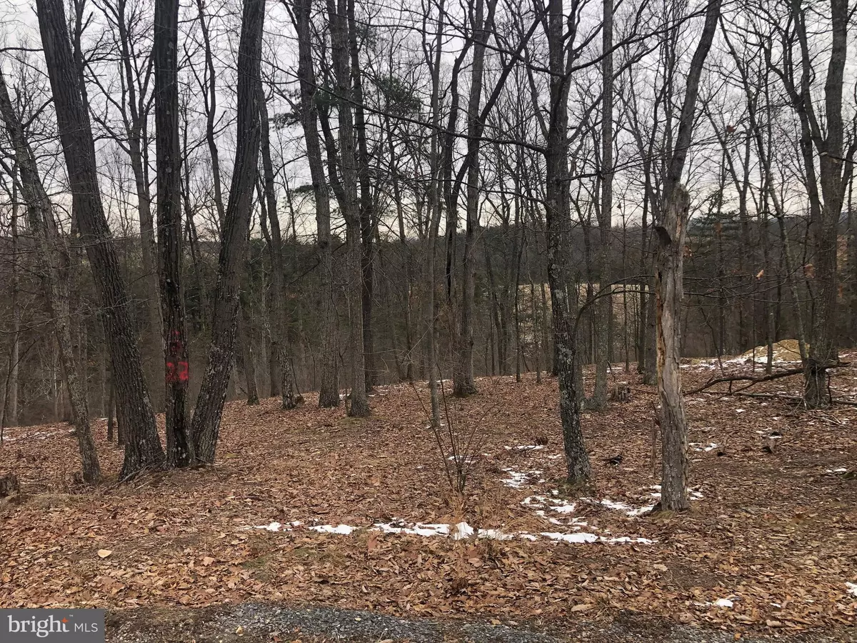 Augusta, WV 26704,LOT 51 EMILY CT