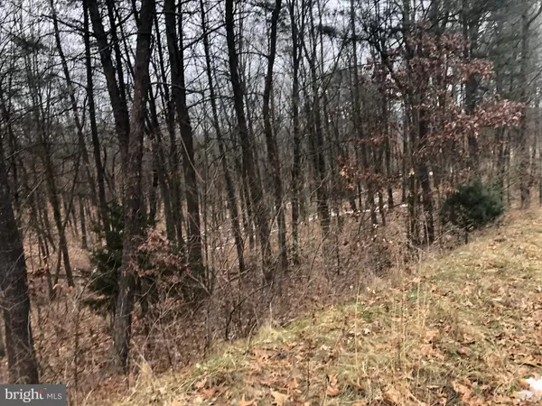 Augusta, WV 26704,LOT 51 EMILY CT