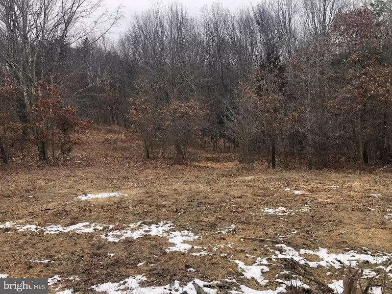 LOT 24 ASHLEY CT, Romney, WV 26757