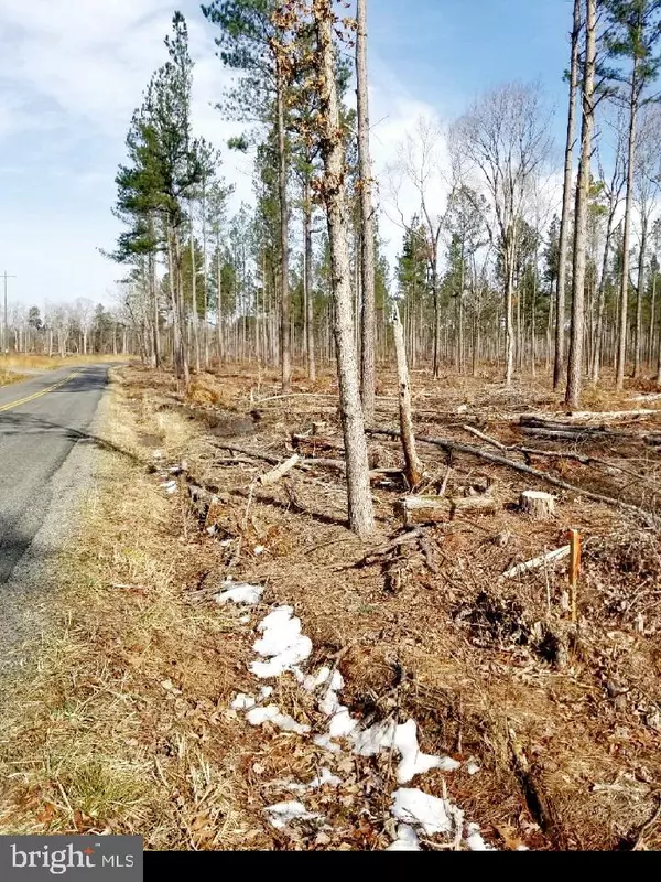 Beaverdam, VA 23015,0 TYLER STATION RD