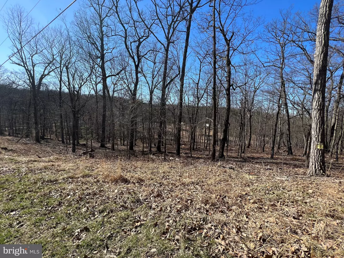 Berkeley Springs, WV 25411,LOT 2A HOLLYBUSH LN