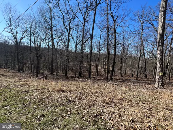 LOT 2A HOLLYBUSH LN, Berkeley Springs, WV 25411