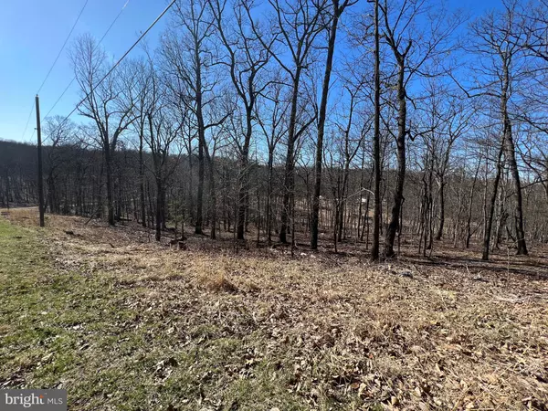 Berkeley Springs, WV 25411,LOT 2A HOLLYBUSH LN