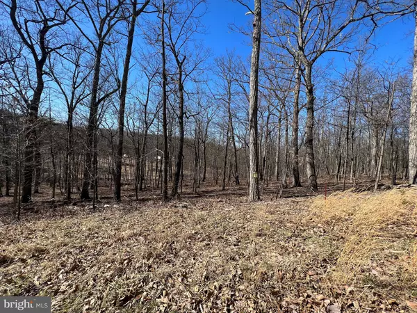 Berkeley Springs, WV 25411,LOT 2A HOLLYBUSH LN