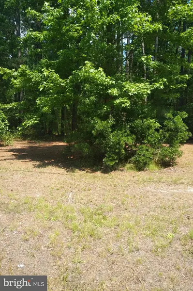 LOT 340 NORTH GLEBE RD, Montross, VA 22520