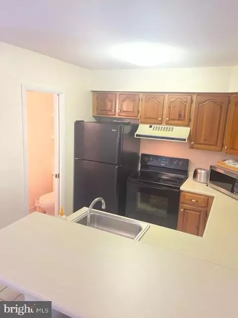 Selbyville, DE 19975,38280 HUMMINGBIRD LN #240