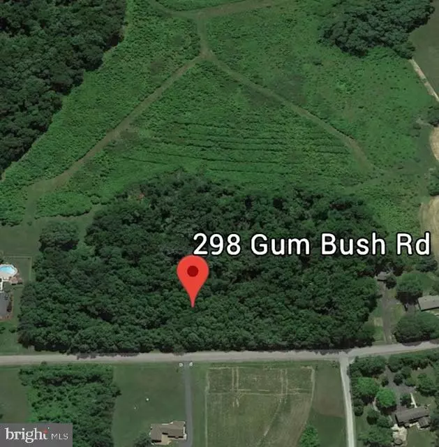 Townsend, DE 19734,298 GUM BUSH RD