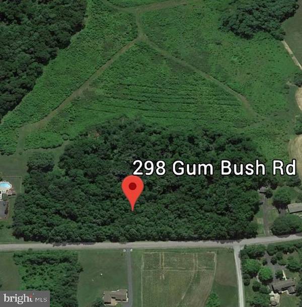 298 GUM BUSH RD, Townsend, DE 19734