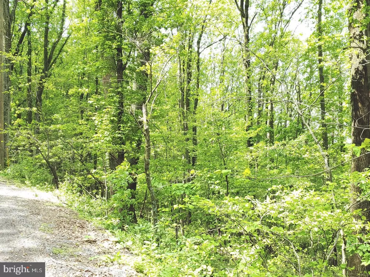 Winchester, VA 22602,430 IRIS LN