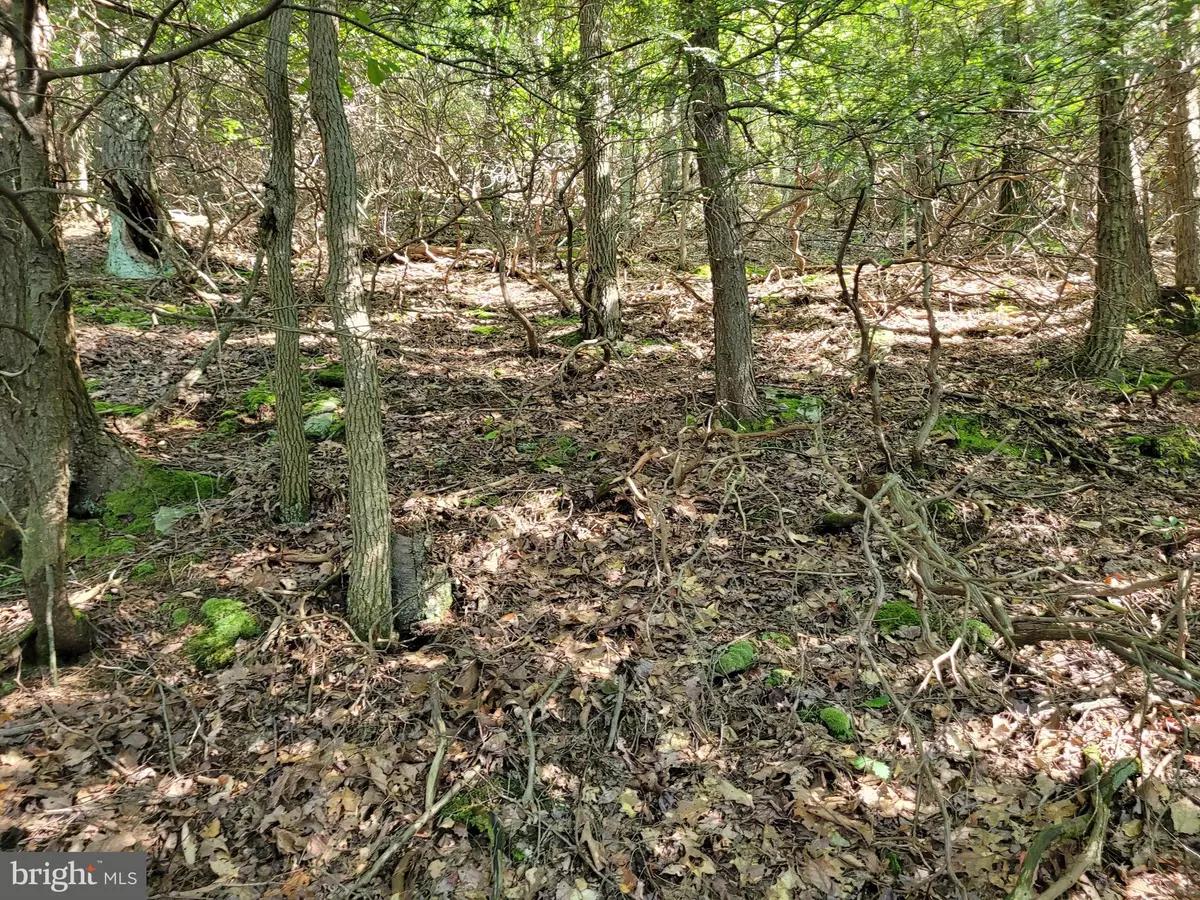 Claysburg, PA 16625,LOT 89 RIDGE RUN