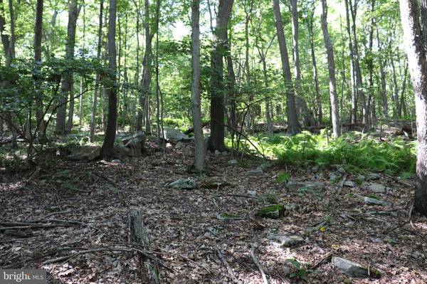 Claysburg, PA 16625,LOT 312 RIDGE RUN