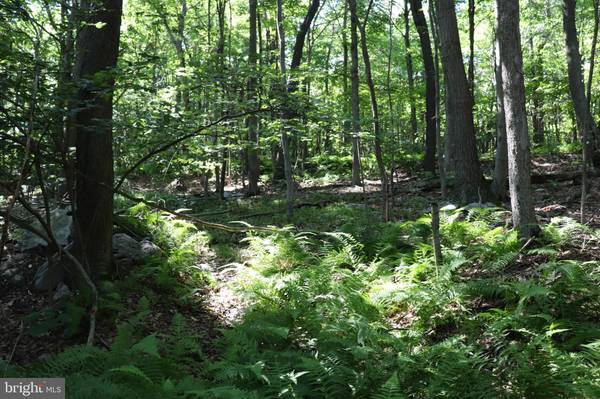 LOT 312 RIDGE RUN, Claysburg, PA 16625