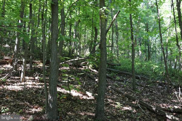 Claysburg, PA 16625,LOT 320 RIDGE RUN