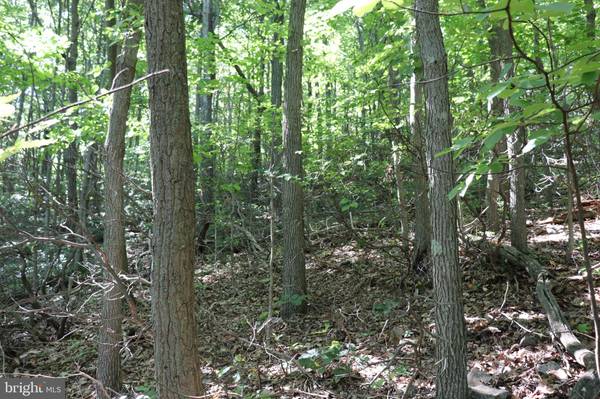 Claysburg, PA 16625,LOT 320 RIDGE RUN