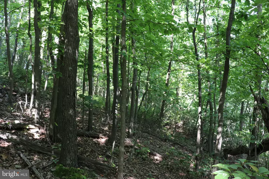 LOT 320 RIDGE RUN, Claysburg, PA 16625