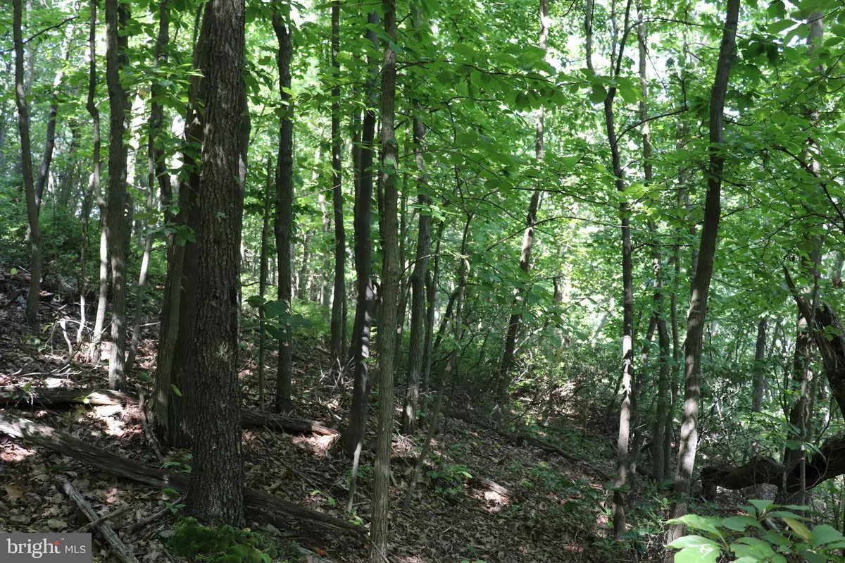 Claysburg, PA 16625,LOT 320 RIDGE RUN