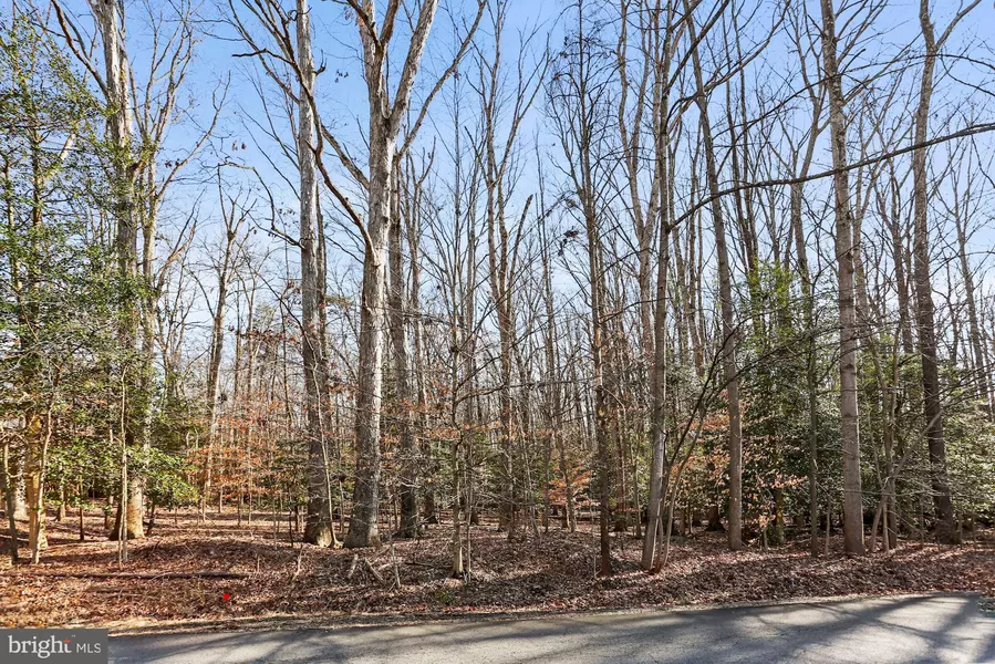 11121 ELMVIEW PL, Great Falls, VA 22066