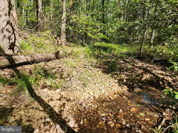 Mineral, VA 23117,NEW BRIDGE