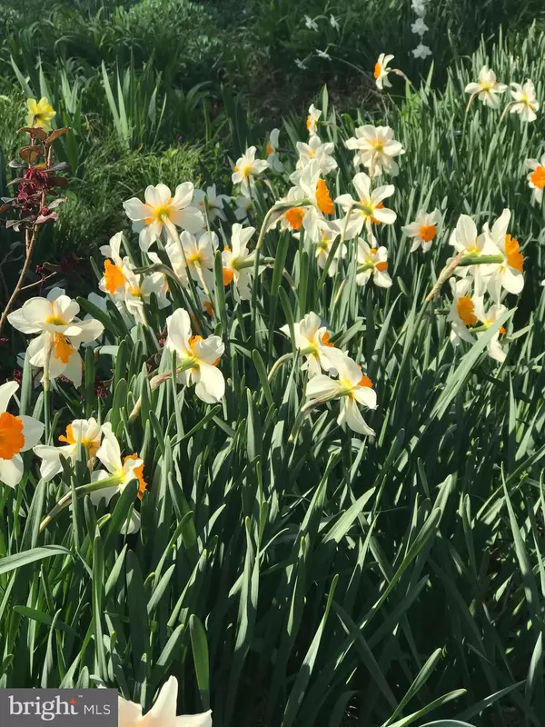 Farnham, VA 22460,2494 SIMONSON RD