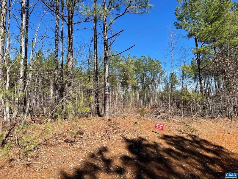 0 GEORGIA CREEK RD #LOT 38, Scottsville, VA 24590