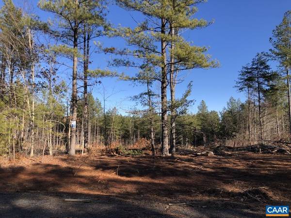 Scottsville, VA 24590,0 GEORGIA CREEK RD #LOT 60