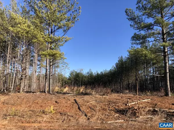 Scottsville, VA 24590,0 GEORGIA CREEK RD #LOT 70