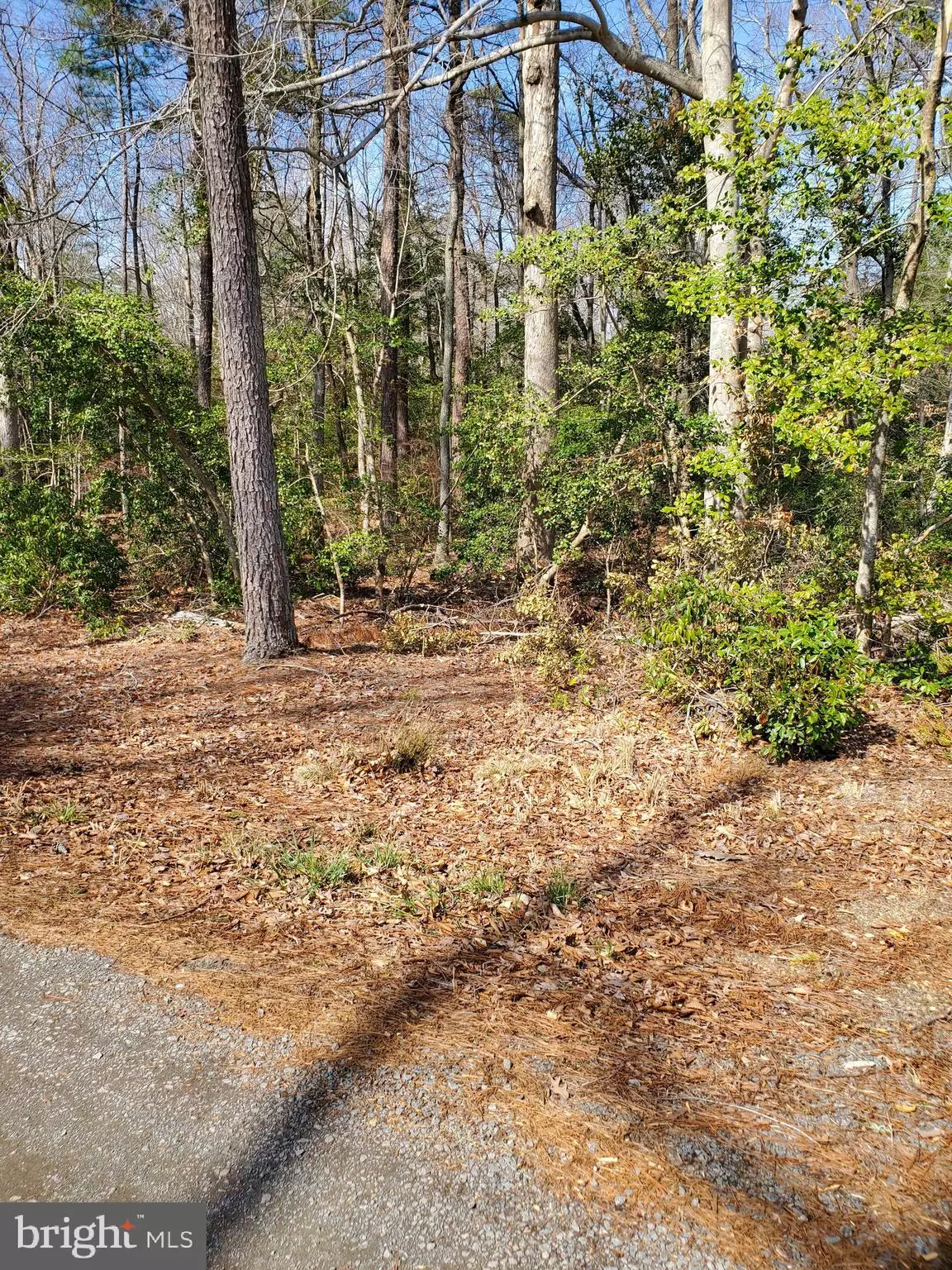 Colonial Beach, VA 22443,LOT 11 ELM DR