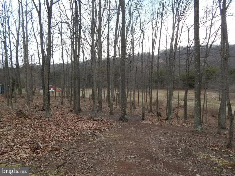 LOT 4 WILLET RUN WOODMONT ROAD, Great Cacapon, WV 25422