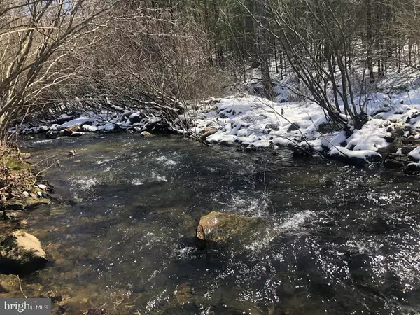 Wardensville, WV 26851,6 TROUT RUN FOREST