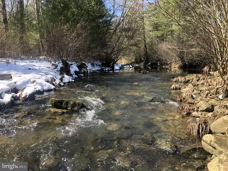 Wardensville, WV 26851,6 TROUT RUN FOREST