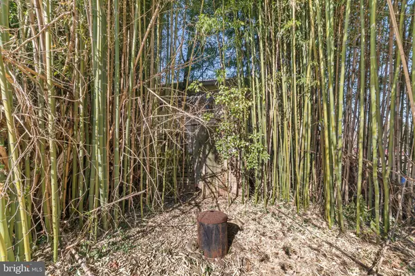 The Plains, VA 20198,4228 BRAGG ST