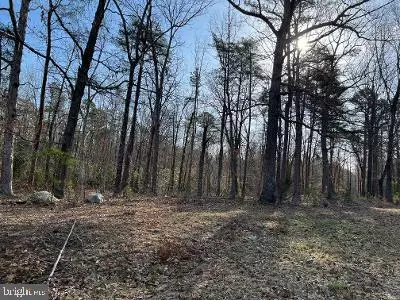 LOT 3 KENTUCKY SPRINGS RD, Mineral, VA 23117