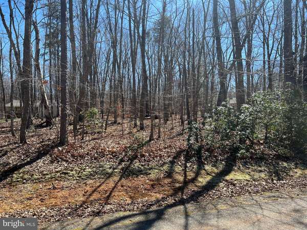 Mineral, VA 23117,LOT 18 PINE HARBOUR DRIVE